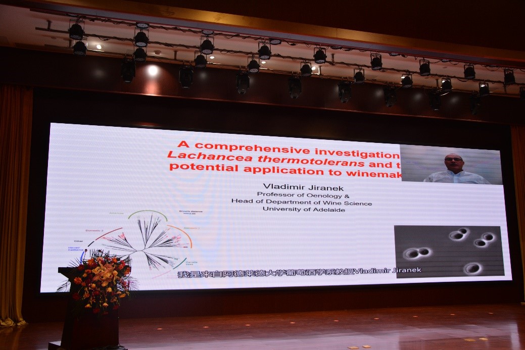 53226200455440f69b9e7a8094254f14.jpg 53226200455440f69b9e7a8094254f14.jpg