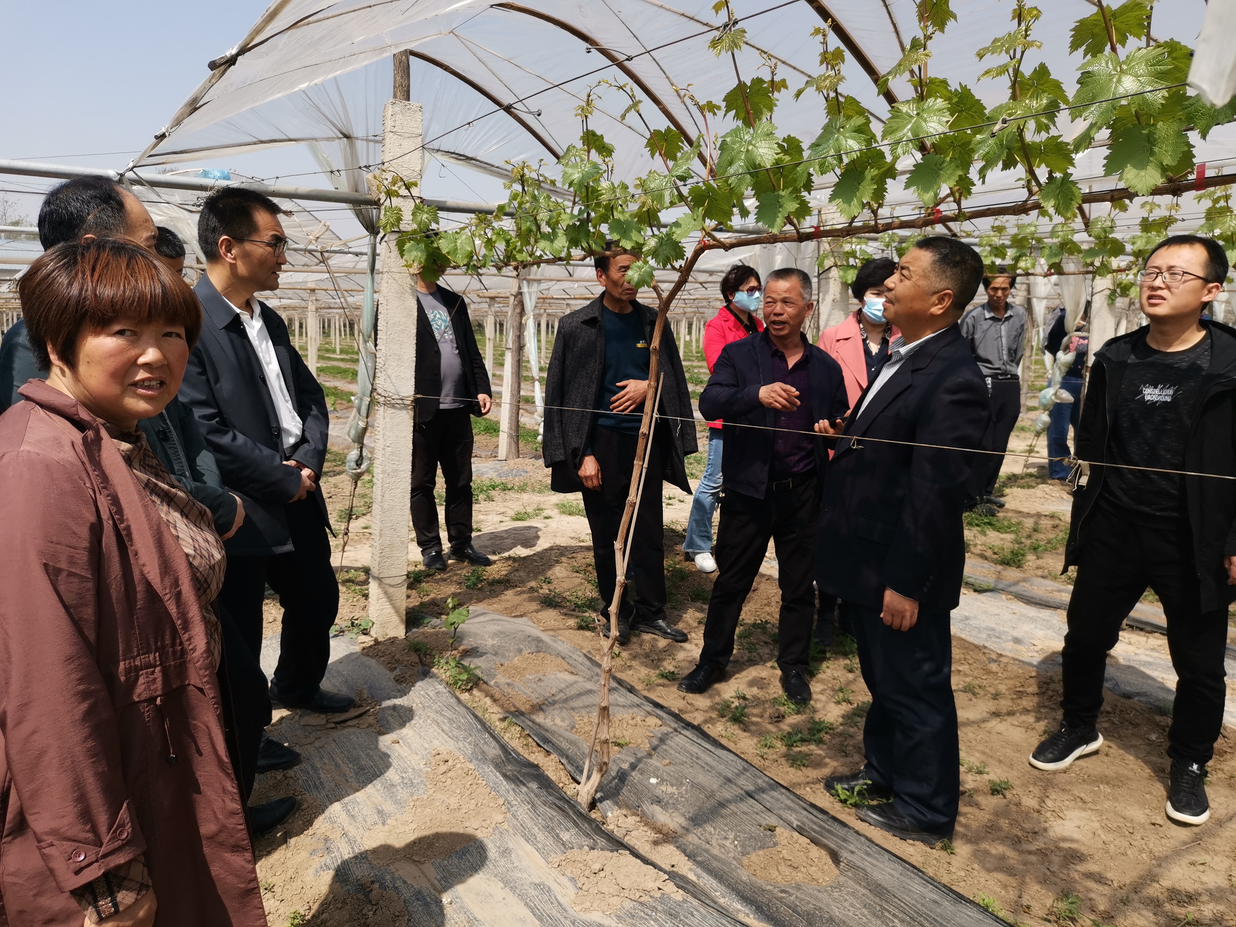 8803ef80eb5744daaa554f9a6144790c.jpg 8803ef80eb5744daaa554f9a6144790c.jpg