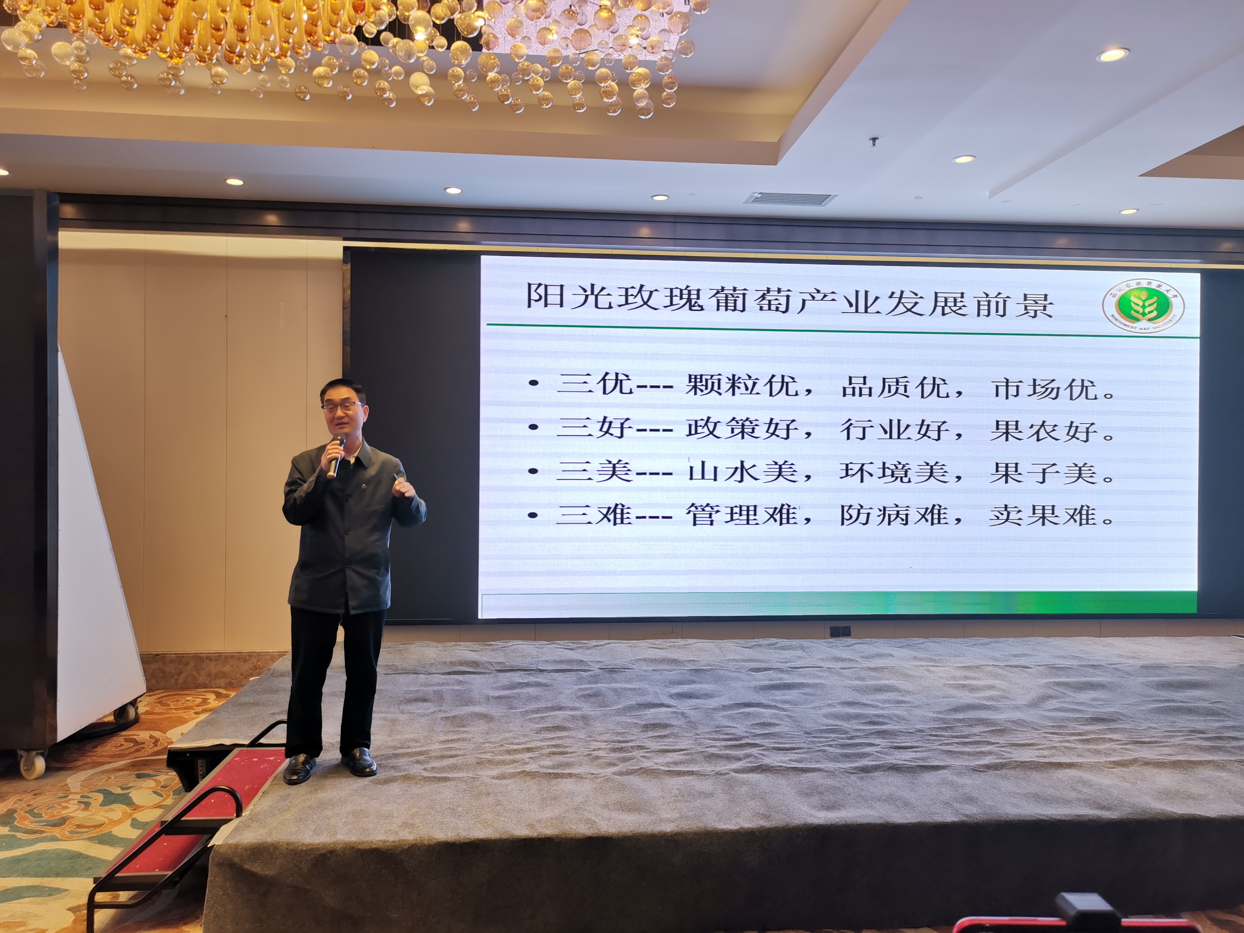 e520941351e34c7ea5ae85d9591ba292.jpg e520941351e34c7ea5ae85d9591ba292.jpg