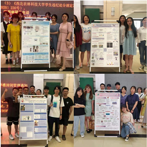 a02aed55b72747b086e1cbf95d5ecd6d.png a02aed55b72747b086e1cbf95d5ecd6d.png