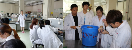 289c030ee5b24a1c9ad87246580523cd.png 289c030ee5b24a1c9ad87246580523cd.png