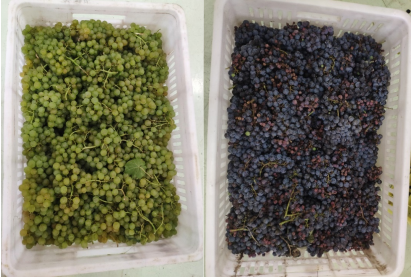 bcce45bf87da45c5a77fe7f0fdd1107c.png bcce45bf87da45c5a77fe7f0fdd1107c.png