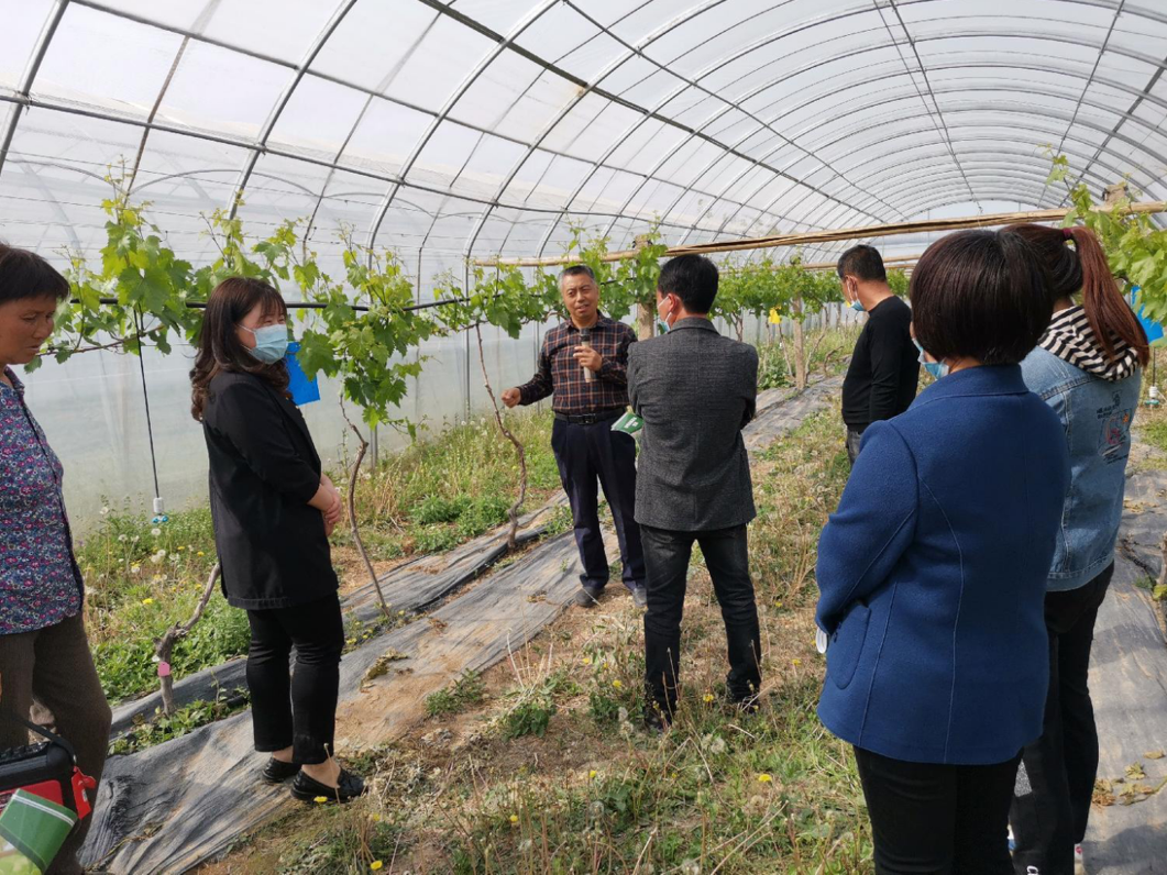 3c01ff25f36340e08fcedddc1dbeb5e7.png 3c01ff25f36340e08fcedddc1dbeb5e7.png