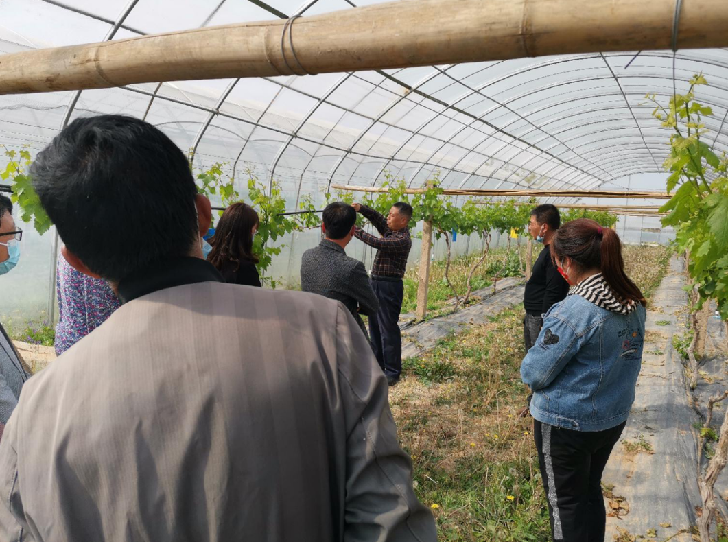 9bc79d12bdfc46cf8db126e94633bd10.png 9bc79d12bdfc46cf8db126e94633bd10.png