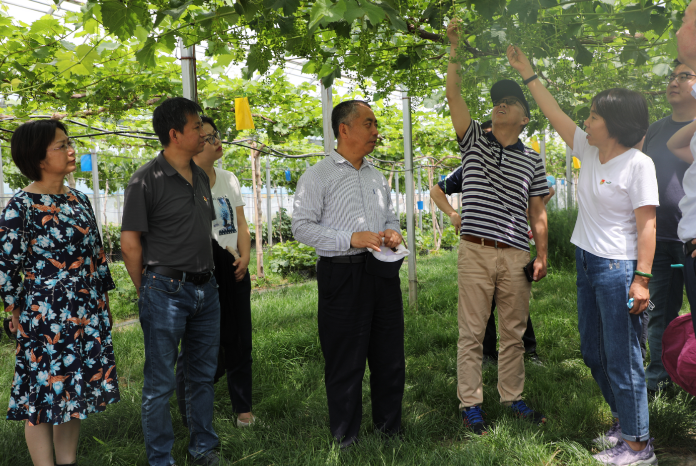 64252a5020364d539623d93172b21089.png 64252a5020364d539623d93172b21089.png