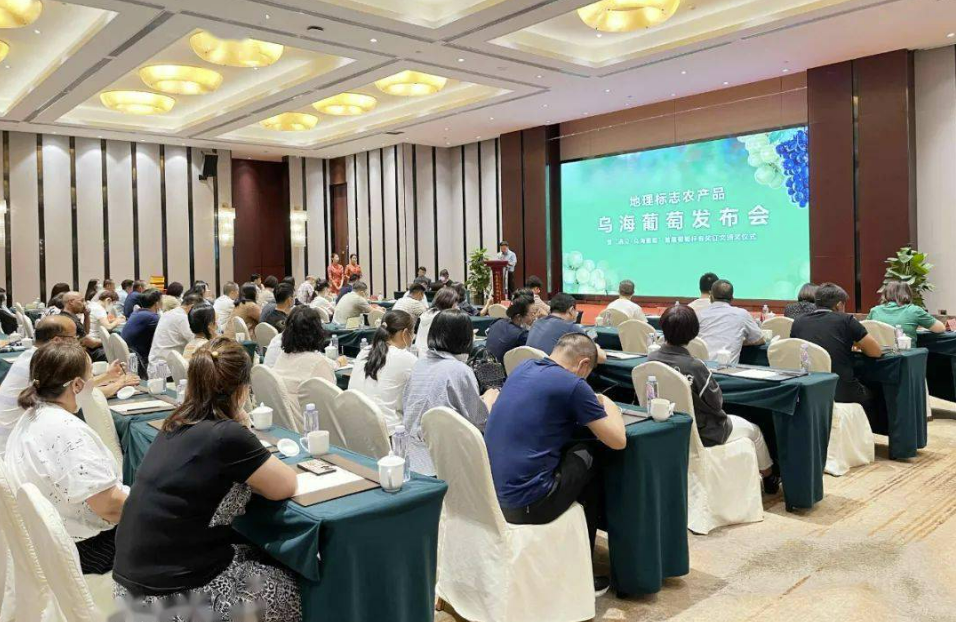 94455ef33be54e888e9c5b9a9ee227a1.png 94455ef33be54e888e9c5b9a9ee227a1.png