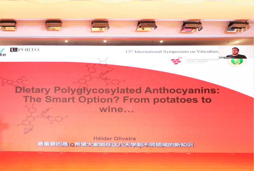 a38fa0b5ccca4ae99093b2f572cd154c.png a38fa0b5ccca4ae99093b2f572cd154c.png