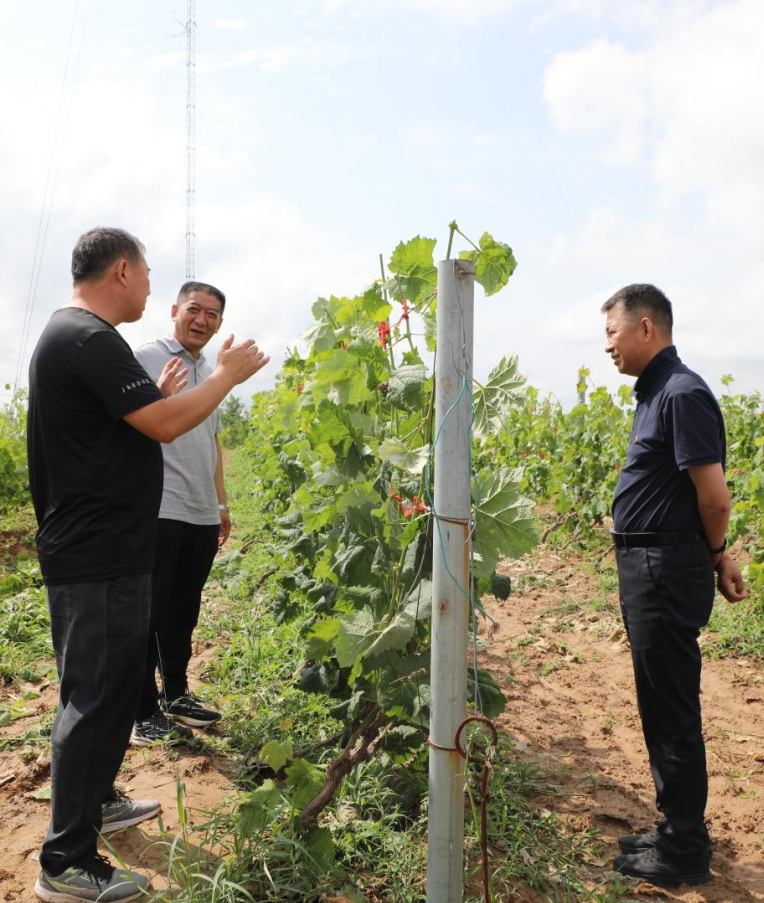 b118858927814b99a34b9a4779d2a249.png b118858927814b99a34b9a4779d2a249.png