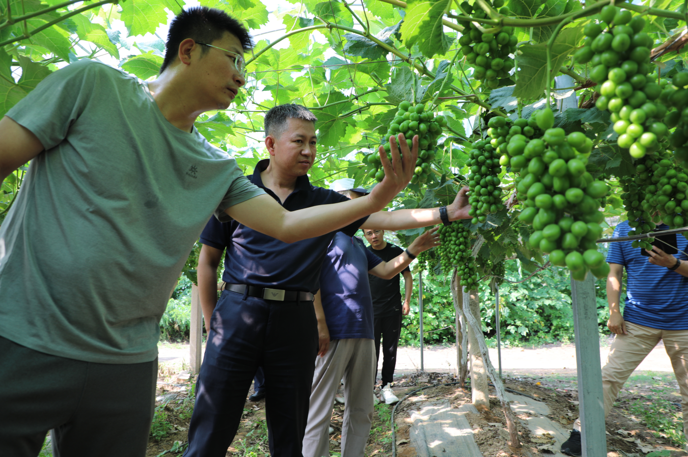 cfb382b0de584b669e6132e9bc21fda0.png cfb382b0de584b669e6132e9bc21fda0.png