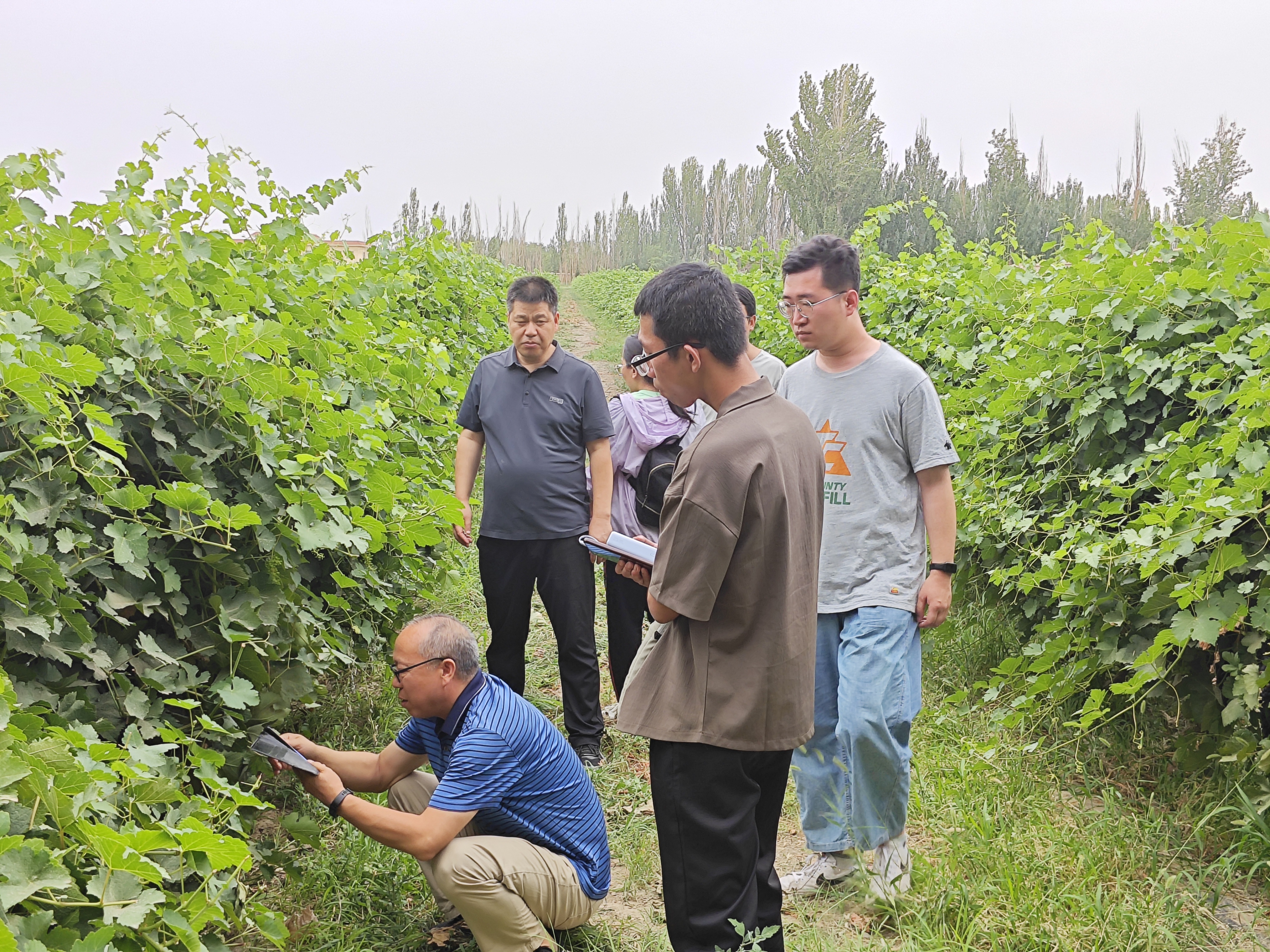 a1822507275c465db41d05ed33e75607.jpg a1822507275c465db41d05ed33e75607.jpg